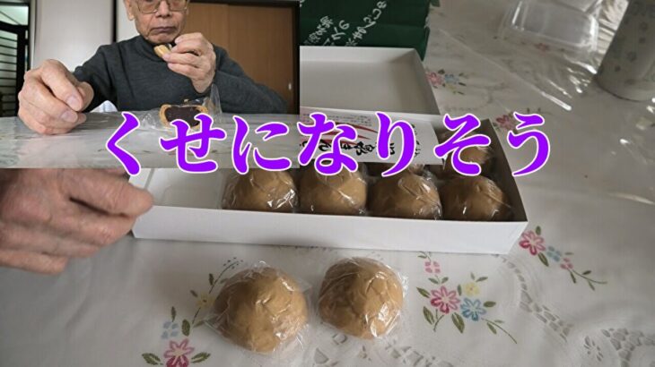 【年金シニアの現実】くせになりそう