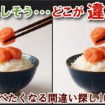【間違い探しで脳トレ】シニアにおすすめ！美味しそうなグルメ料理画像で無料クイズ｜大人の脳活にも◎お腹がすいて食べたくなる難問