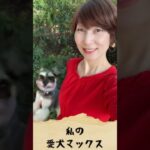 紹介用 愛犬マックスとの思いで スマホバージョン