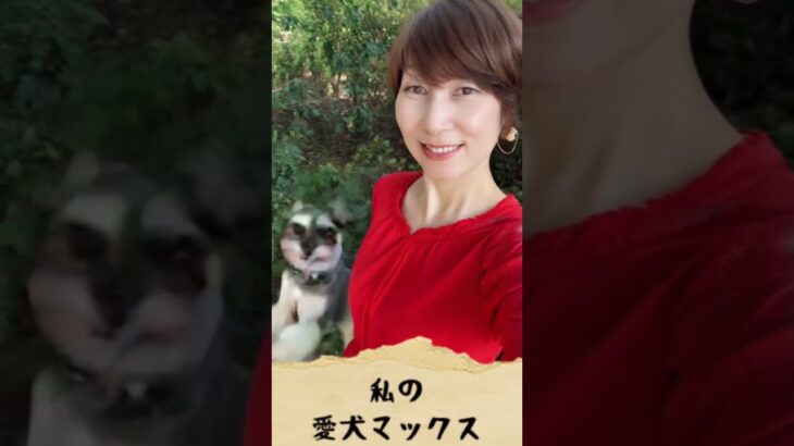 紹介用 愛犬マックスとの思いで スマホバージョン