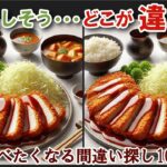 【間違い探しで脳トレ】シニアにおすすめ！美味しそうなグルメ料理画像で無料クイズ｜大人の脳活にも◎お腹がすいて食べたくなる難問