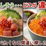 【間違い探しで脳トレ】シニアにおすすめ！美味しそうなグルメ料理画像で無料クイズ｜大人の脳活にも◎お腹がすいて食べたくなる難問