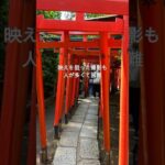 根津神社#シニア #シニアブログ #シニアvlog ＃根津神社＃ゴールデンウィーク#千本鳥居#youtubeshorts
