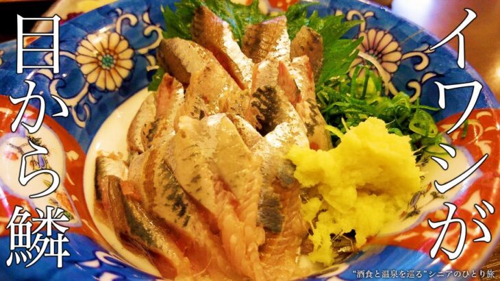 【シニアひとり旅 / 東海編】激旨イワシの刺身定食！沼津観光の最適宿に泊まる｜沼津港・磯はる食堂 / 静岡県｜酒とグルメ旅  vol.22