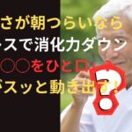 食前1分の習慣で胃腸が整う朝ルール【シニア/健康】