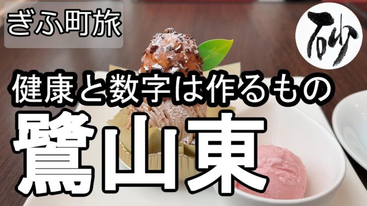 【ナイスなシニアのぎふ町旅＠鷺山東】岐阜県岐阜市（2025年05月29日）