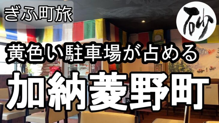【ナイスなシニアのぎふ町旅＠加納菱野町】岐阜県岐阜市（2025年06月19日）