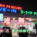 沖縄一周車中泊旅行記24【シーサイドドライブイン】シニア夫婦と犬1匹が自作キャンピングシェルで行く