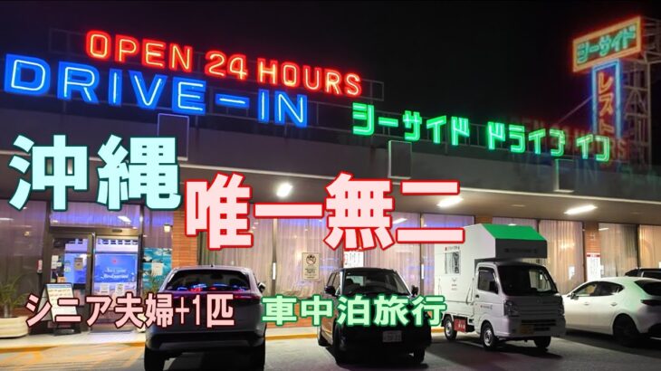 沖縄一周車中泊旅行記24【シーサイドドライブイン】シニア夫婦と犬1匹が自作キャンピングシェルで行く