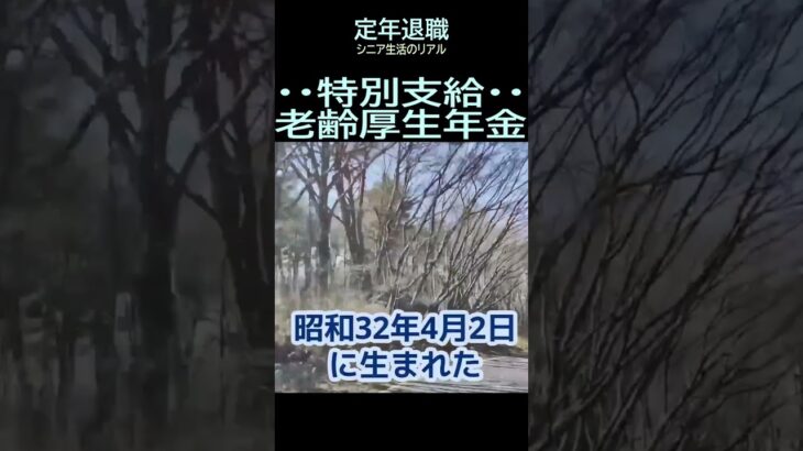 【シニアのリアル】280「特別支給老齢厚生年金」★夢追いプラン(52)-2★#shorts