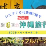 シニア７０代夫婦3組で5泊6日の沖縄旅行