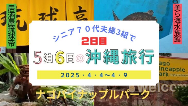 シニア７０代夫婦3組で5泊6日の沖縄旅行