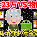 【40-50代必見】年金23万円 vs 物価高！インフレに怯える年金生活予備軍たちの本音！【2chシニア有益情報】