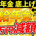 【シニア世代】基礎年金底上げ以外の改悪｜加給年金 減額【50代｜60代】シニア世代と年金