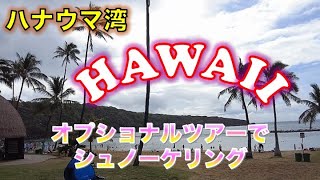 ハナウマ湾シュノーケリング【４泊6日ハワイ旅行】シニアでも楽しめるシュノーケリングとバス利用で美味しいグルメ