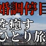 《60代ひとり暮らし》#女ひとり旅 #ひとり旅 #シニア #60代 #熟年離婚 #50代 #70代 #モラハラ #DV#おひとりさま#旅行vlog @nushitoneko@70secondlife