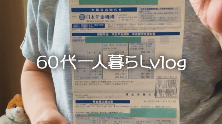 【年金生活】年金支給日の晩ごはん/最新年金額改定通知書と振込通知書/簡単美味しいフライパン蒸しレシピ【60代一人暮らし】#265
