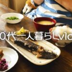 【60代一人暮らし】朝ご飯を作ってスーパーへ買い物/お天気なので休日散歩/旬の食材トビウオの塩焼き【シニアライフ】#267