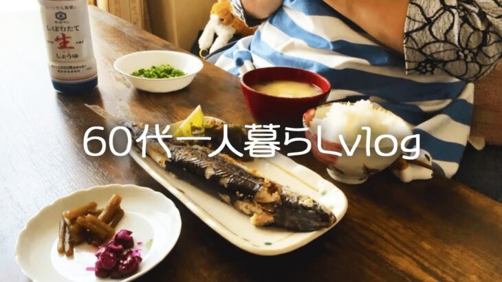 【60代一人暮らし】朝ご飯を作ってスーパーへ買い物/お天気なので休日散歩/旬の食材トビウオの塩焼き【シニアライフ】#267