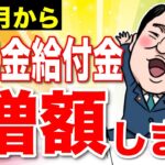 【6月13日から増額】絶対申請して！年金に一生上乗せ130万円！9割が見逃す年金給付金とは？【年金生活者支援給付金】