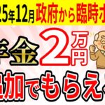 【手続き一切不要！】政府から臨時特別ボーナス支給決定！令和7年12月の年金支給日に2万円が自動で上乗せ／税制改正で年金が増える理由を完全解説