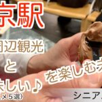79【東京 & 日光 シニアふたり旅⑤】東京駅美味しいオススメ５選＊東京駅周辺観光＊上から眺める東京駅舎＊KITTE＊二重橋＊お土産・駅弁・パン・ソフトクリーム