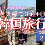 【83歳・韓国旅行】シルバーカーでチマチョゴリと南山タワー🦽