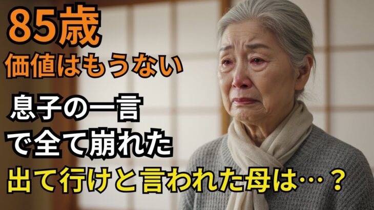 【85歳・独居女性】、年金を奪われ家族に追い出された。『「母さん、もう価値はないよ」と言われた日』【60代以上の方へシニア人生相談】【シニア恋愛】