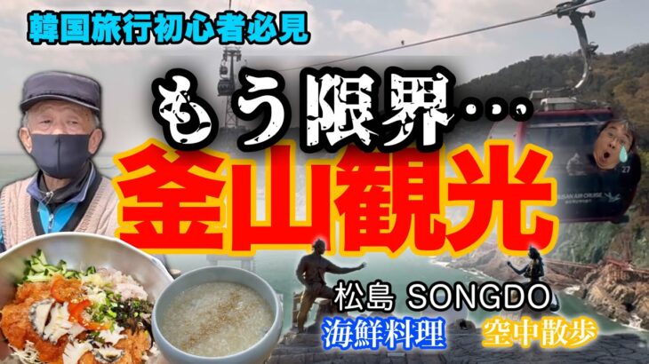【韓国釜山旅行】松島ビーチ観光BEST3/空中散歩、絶景夜景、海鮮グルメを夫婦で満喫！＃韓国＃釜山＃海鮮＃夜景＃シニアライフ＃夫婦旅