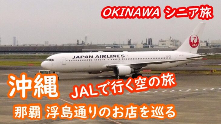 JALで行く沖縄、那覇の浮島通のお店巡り OKINAWA NAHA【シニア夫婦・沖縄旅行】旅ログ 071