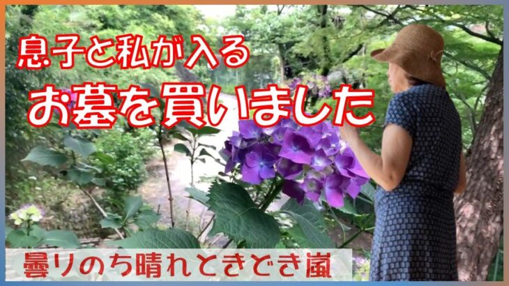 【お墓を買いました】年金生活　シニアVlog　高幡不動の紫陽花　息子と私二人だけの終の棲家
