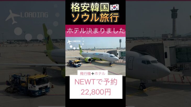 #newt で予約　格安ソウル旅行✈️ #ソウル旅行 #セントレア #shorts #シニア旅