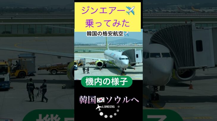 #ジンエアー #韓国旅行 #シニア旅 #shorts #newt で予約
