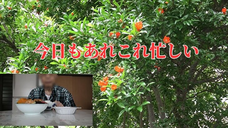 【年金シニアの現実】今日もあれこれ忙しい