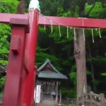 シニアの生活 福島旅