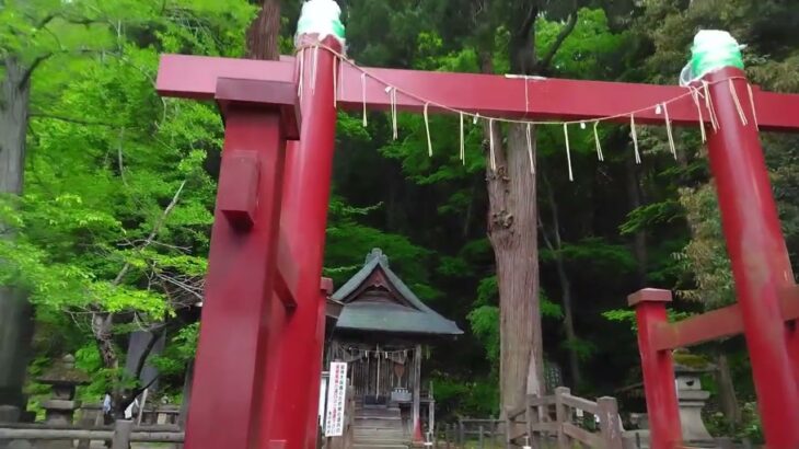 シニアの生活 福島旅
