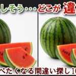 【間違い探しで脳トレ】シニアにおすすめ！美味しそうなグルメ料理画像で無料クイズ｜高齢者大人の脳活にも◎スイカ飯テロ難問編