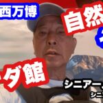 #大阪関西万博、🇨🇦#カナダ館，自然、氷山、#シニア一人旅、#シニアルーティーン