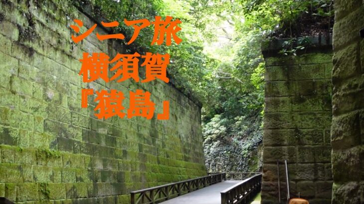 シニアの横須賀『猿島』の旅