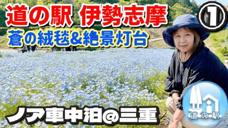 道の駅伊勢志摩発！満開ネモフィラと大王崎灯台の感動絶景【ノア車中泊の旅】