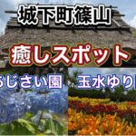 《シニア夫婦車中泊》癒しを求めて丹波篠山〜三田💐道の駅よかわ日本酒試飲🍶道の駅フルーツフラワーパーク大沢車中泊🚗