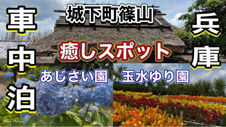《シニア夫婦車中泊》癒しを求めて丹波篠山〜三田💐道の駅よかわ日本酒試飲🍶道の駅フルーツフラワーパーク大沢車中泊🚗