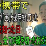 嫁のスマホに自分の名前が「犬」と登録されているのを見た日──おばあちゃんは家を売り、すべての連絡を絶った。 老後の物語   逆転の物語   オーディオブック  人生の教訓