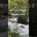 【わかし家・夫婦旅行】シニア夫婦の癒し旅｜奥入瀬渓流のあとは、野の花 焼山荘でゆったり夕ごはん　 #シニア #青森  #旅行