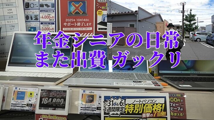 【年金シニアの日常】また出費 ガックリ