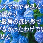 簡単にスマホで申込で戒名を授かり、敷居の低い形で不安がなかったわけではありません#本寿院 #三休 #お骨仏 #戒名 #生前戒名 #終活 #人生 #シニア #北海道