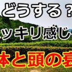【シニアライフ】のらりくらり年金生活　ハッキリ感じる身体と頭の衰え！その後の生活どうする　【のらりくらり年金生活チャンネル】