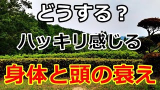 【シニアライフ】のらりくらり年金生活　ハッキリ感じる身体と頭の衰え！その後の生活どうする　【のらりくらり年金生活チャンネル】