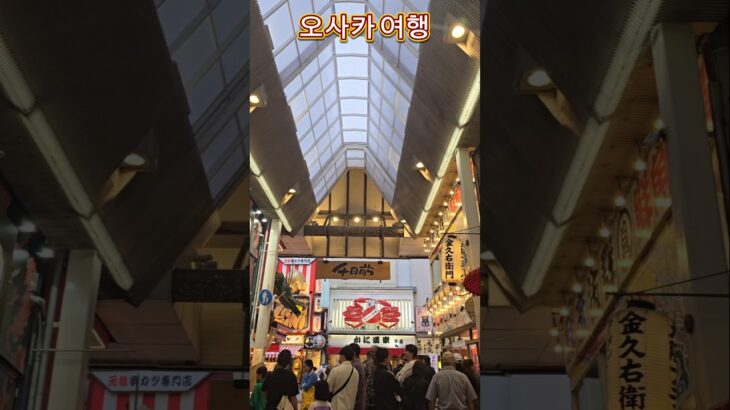 오사카 일본여행 도톤보리 大阪旅行 おおさか 둘러보기 숏폼오사카투어 전미애의맛있는이야기라이브로 잘나가는 여자 미애언니 전미애가간다