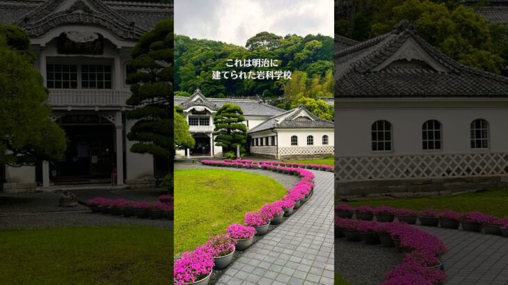 《伊豆松崎町へ》#シニアvlog #シニア #シニアブログ #youtubeshorts #伊豆松崎町#長八美術館